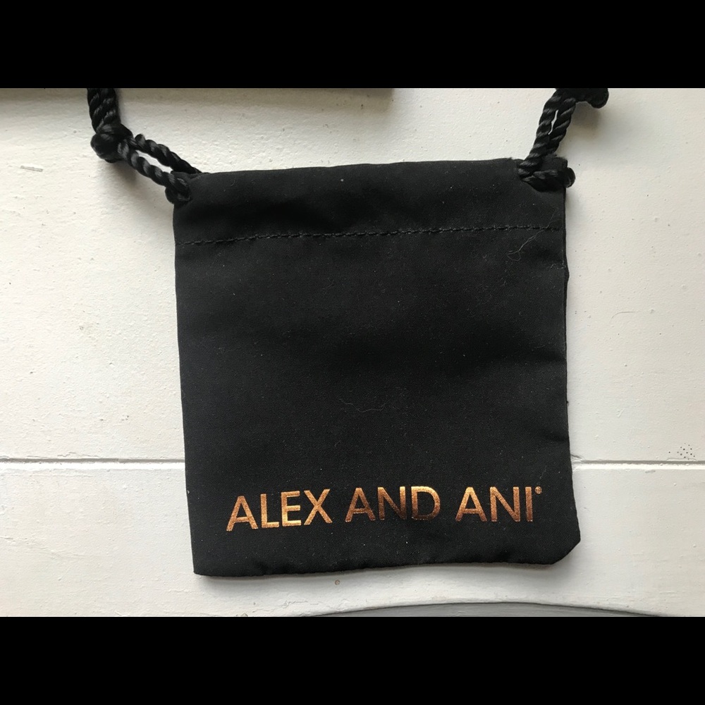 Alex and Ani bracelet dust bag